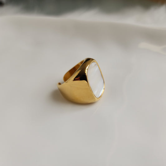 ANILLO PRISMA